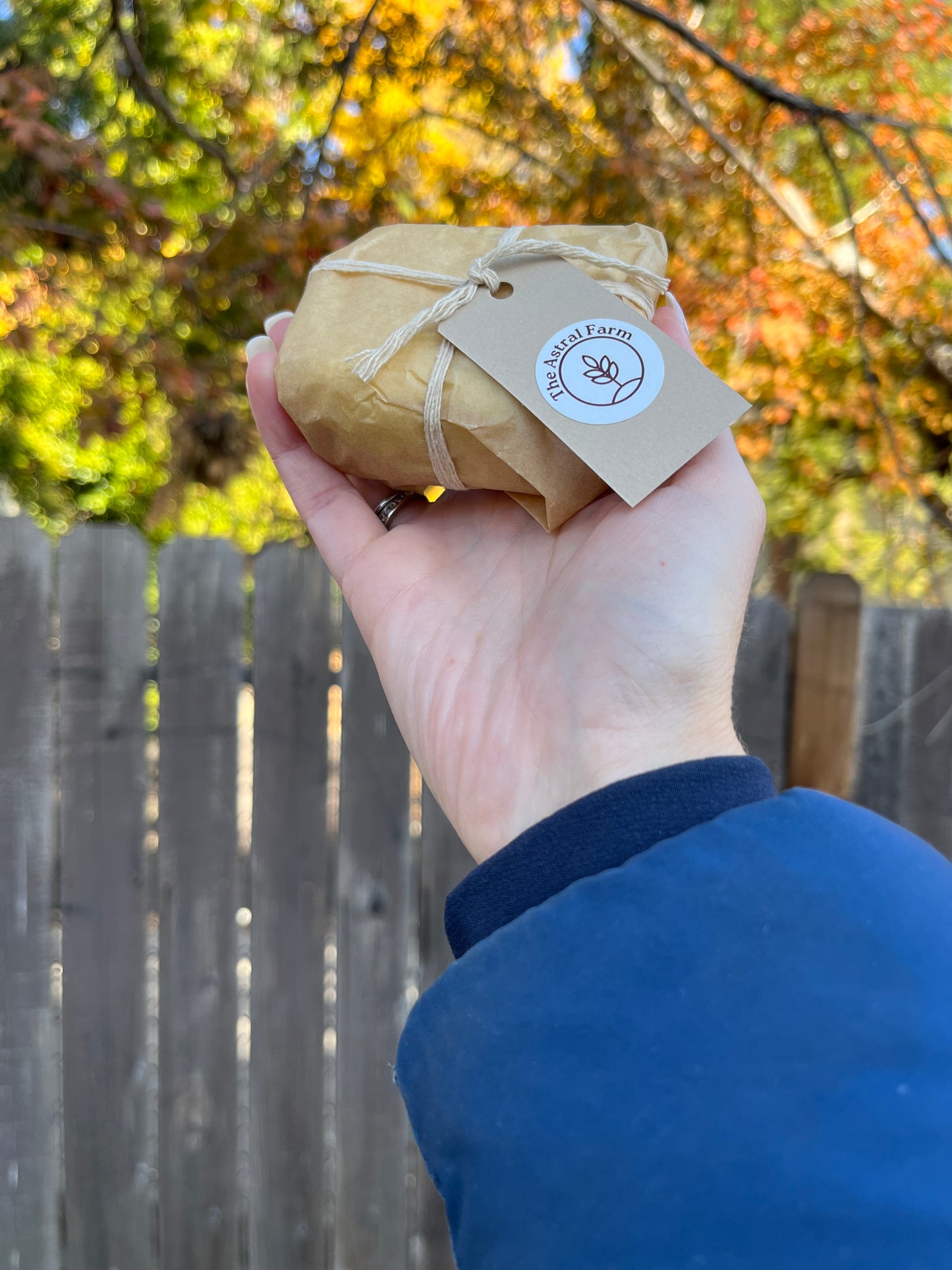 Cheese Making Workshop | Saturday, January 17, 10am-12:30pm