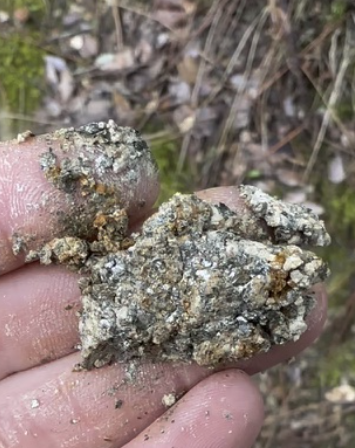 Wild Clay Foraging | Saturday & Sunday May 3-4