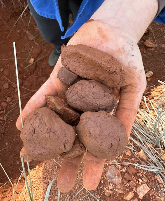 Wild Clay Foraging | Saturday & Sunday May 3-4
