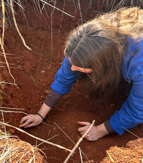 Wild Clay Foraging | Saturday & Sunday May 3-4