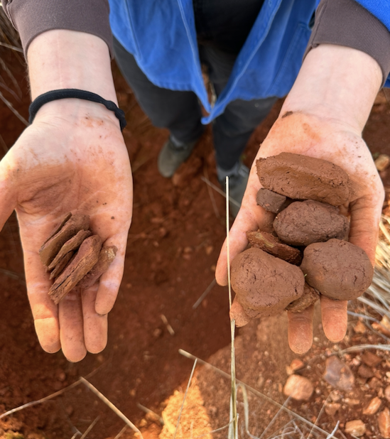 Wild Clay Foraging | Saturday & Sunday May 3-4