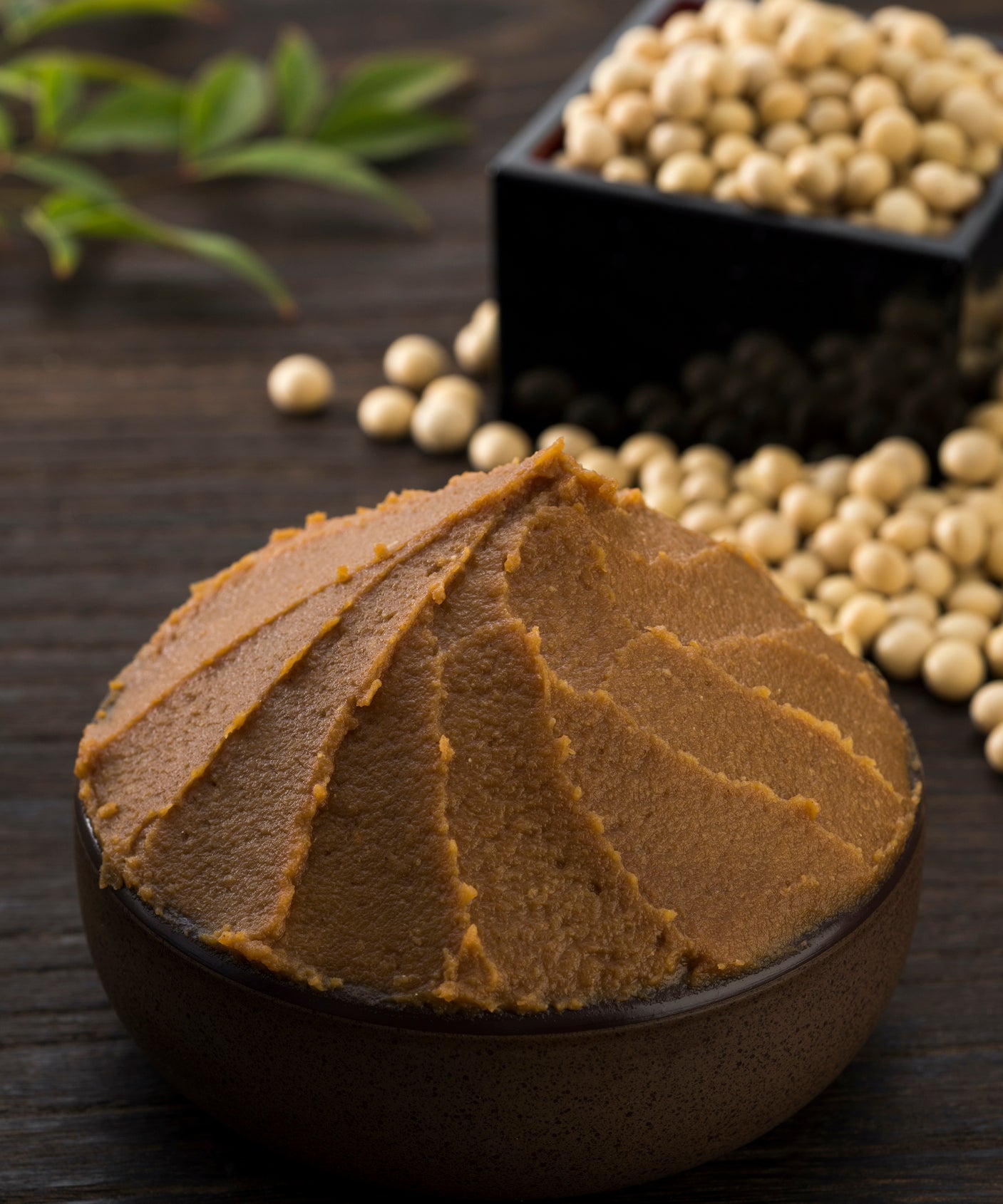 Miso Making Workshop | Wednesday, May 7, 6-8pm