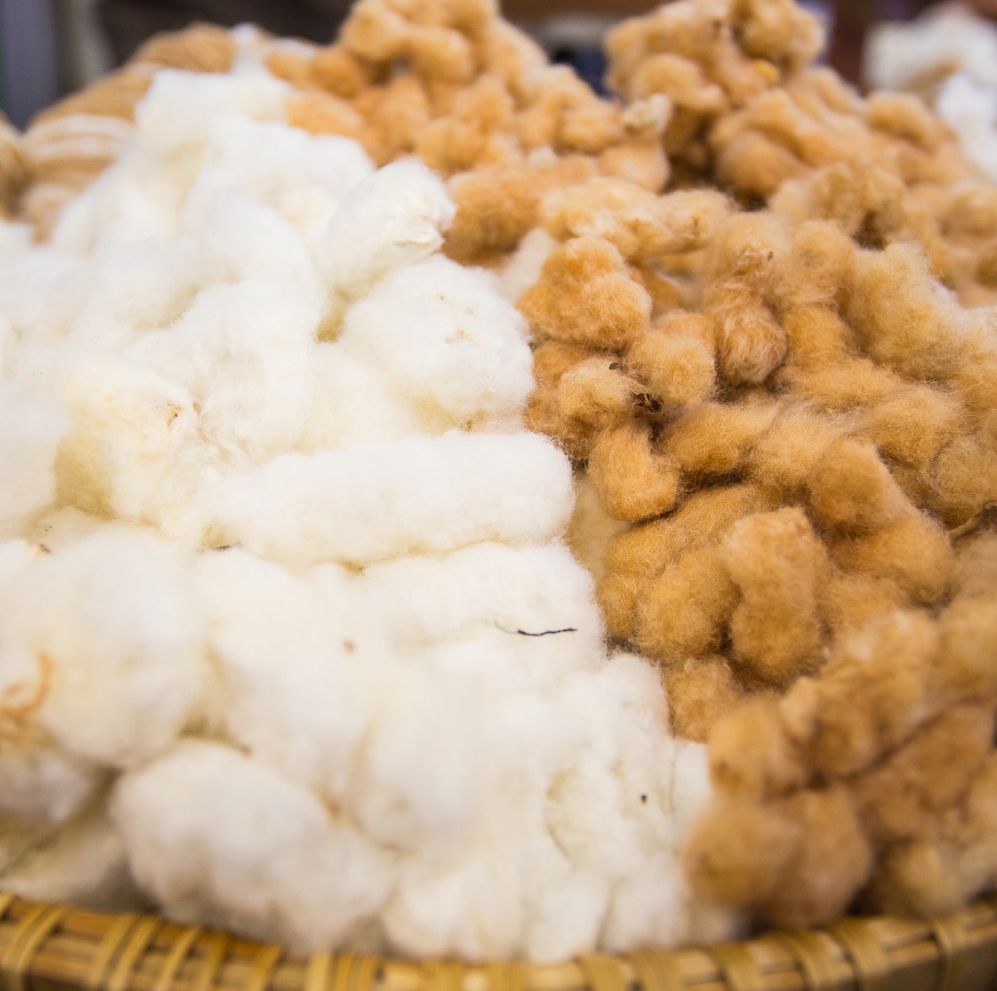 Silk Making | Sunday, April 5, 1-5pm